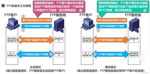 计算机网络系统工程服务 从FTP、电子邮件到万维网WWW